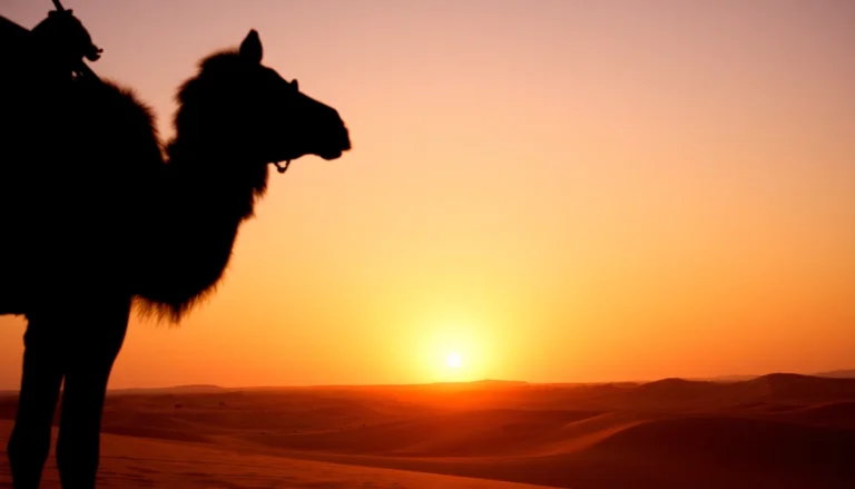 Premium Morocco Private Tours: Authentic Desert Adventures from Marrakech to Merzouga